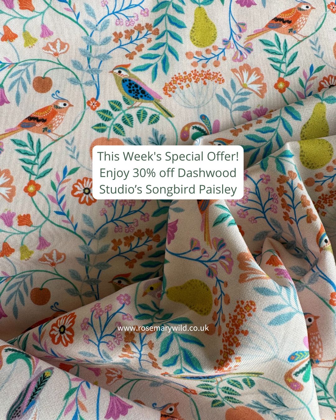 🤩WEEKLY 30% OFF SPOTLIGHT OFFER on Dashwood Studio's Songbird Paisley.