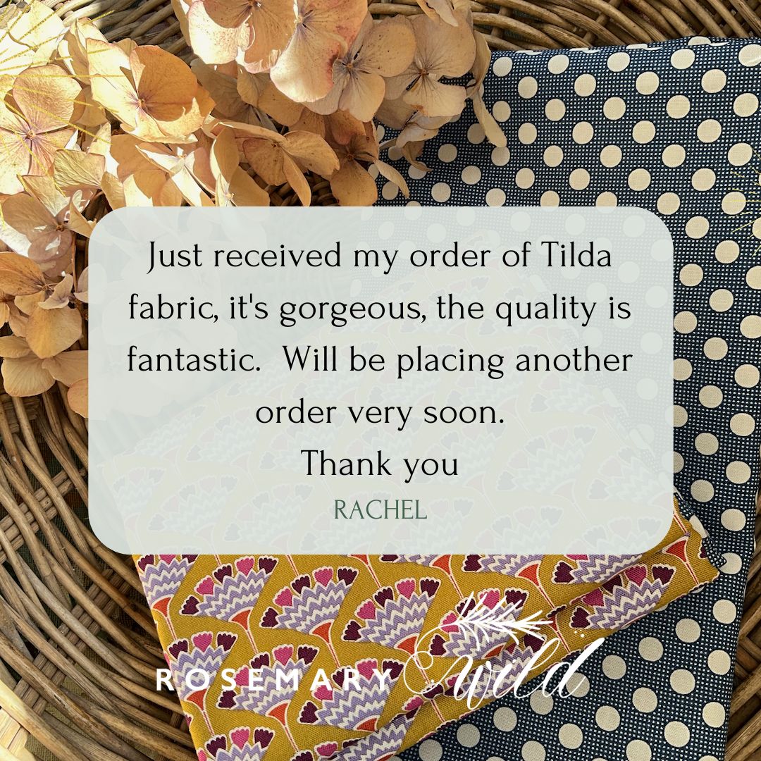 ⭐️⭐️⭐️⭐️⭐️