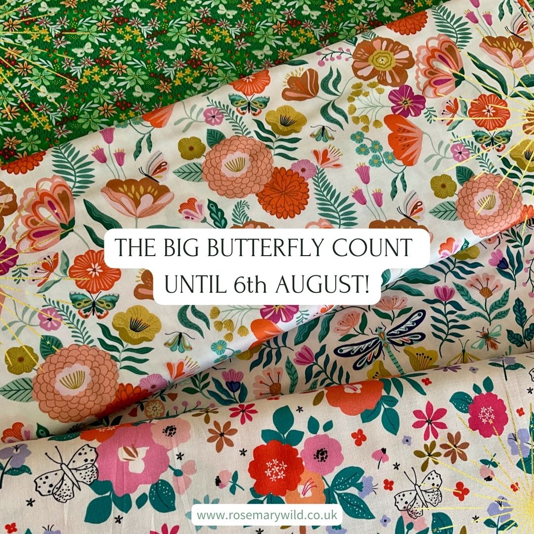 The Big Butterfly Count until 6th August 2023