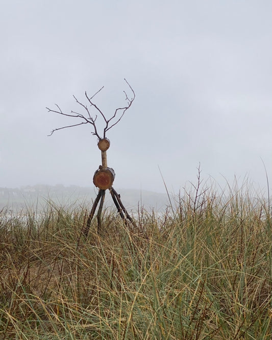 15.  Gullane Reindeer Ramble