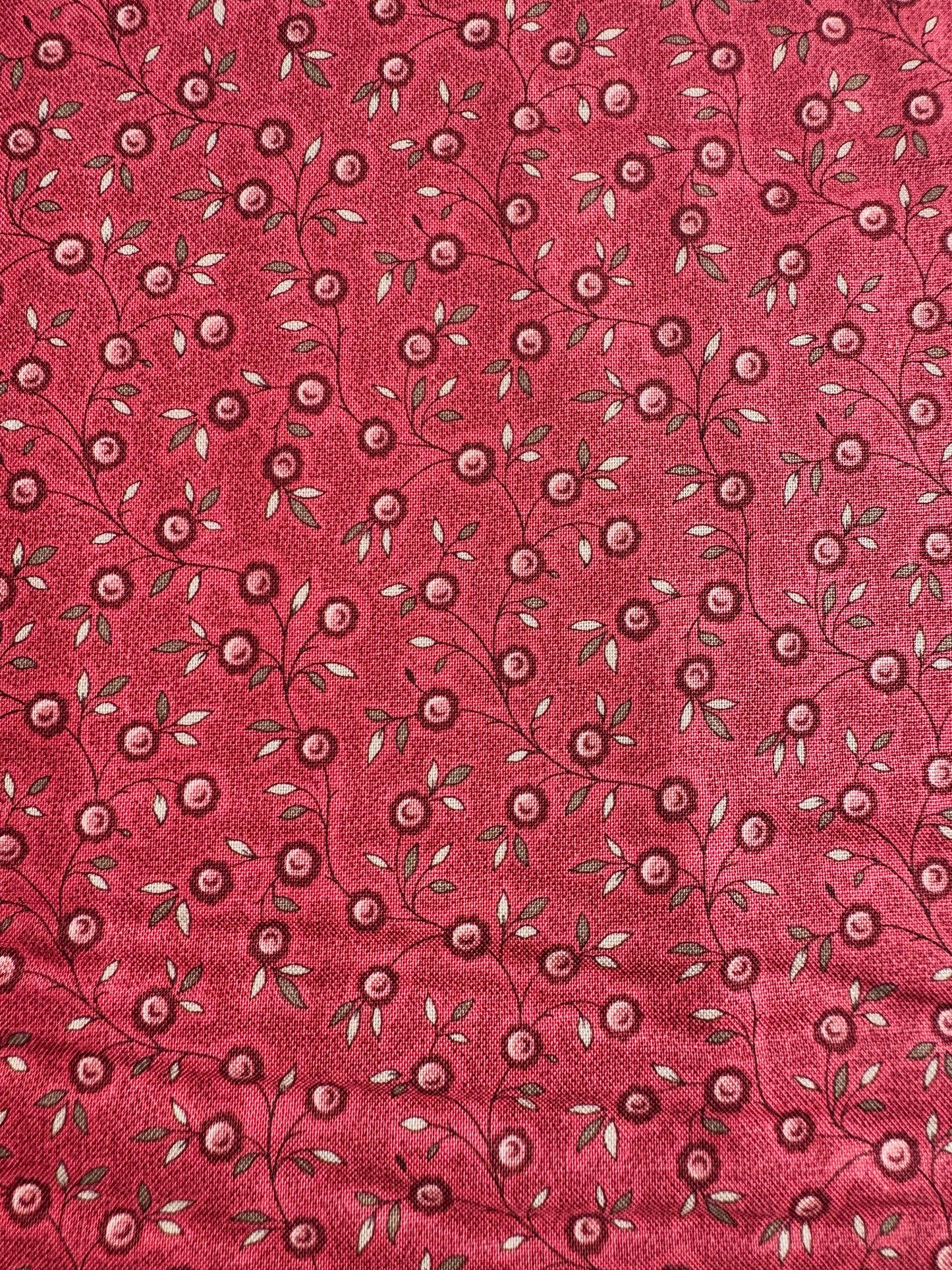 Berry Rouge - Fleur de Paris