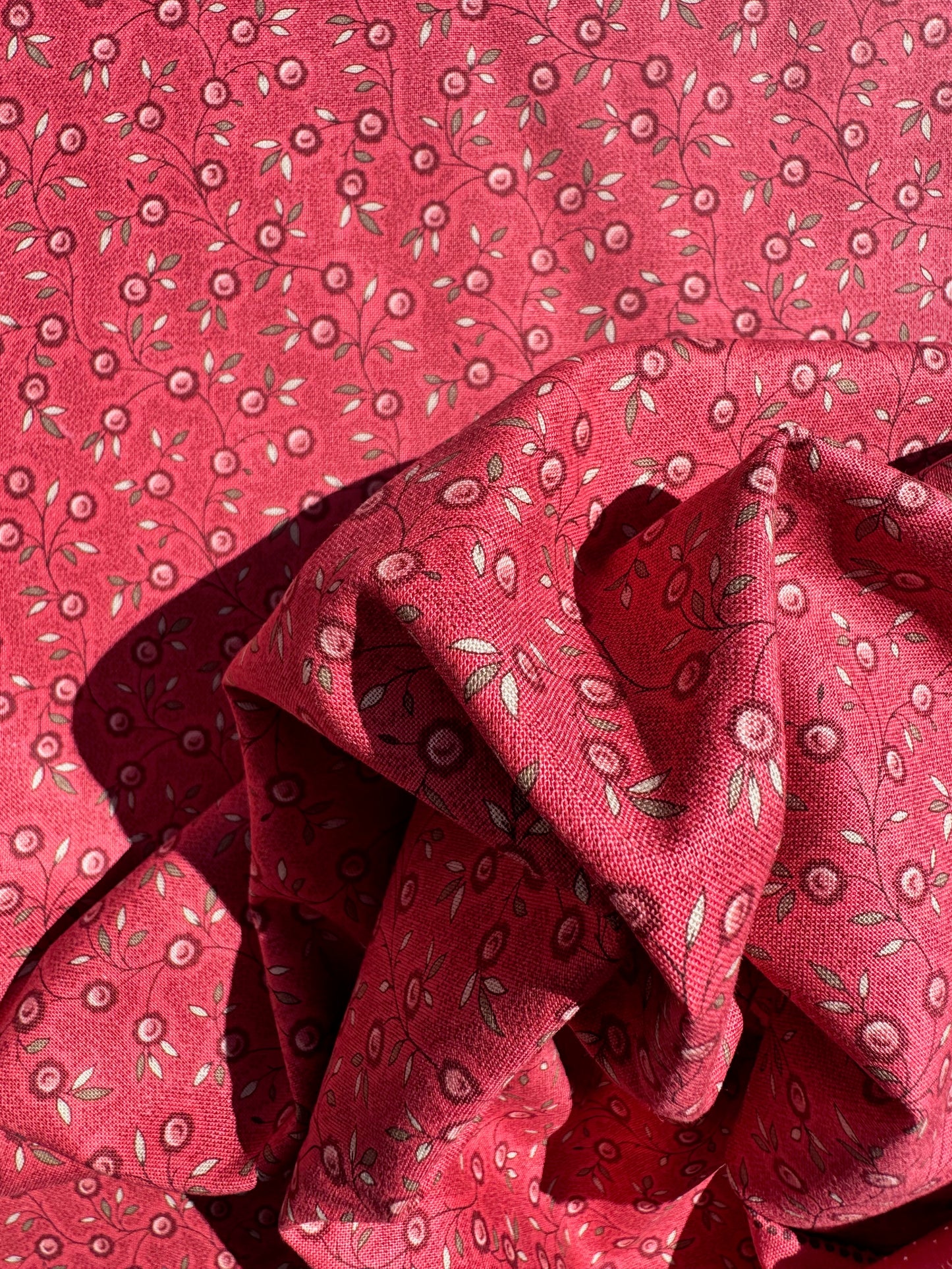 Berry Rouge - Fleur de Paris