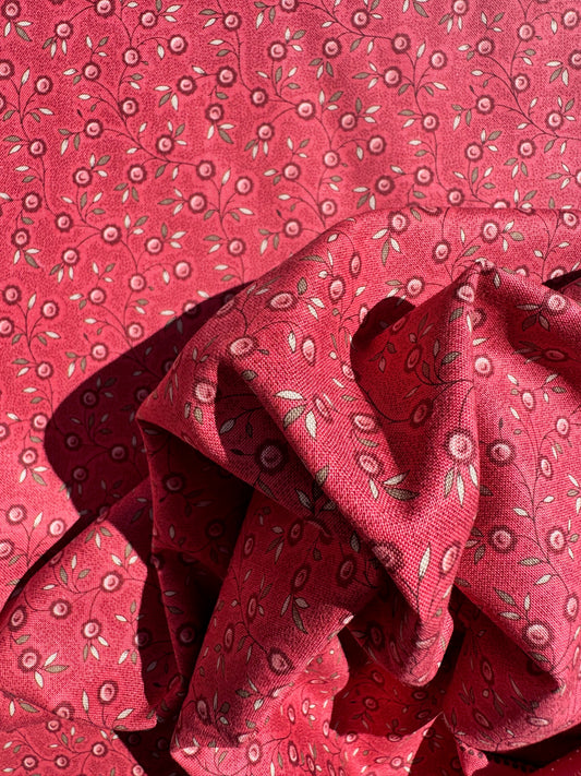 Berry Rouge - Fleur de Paris