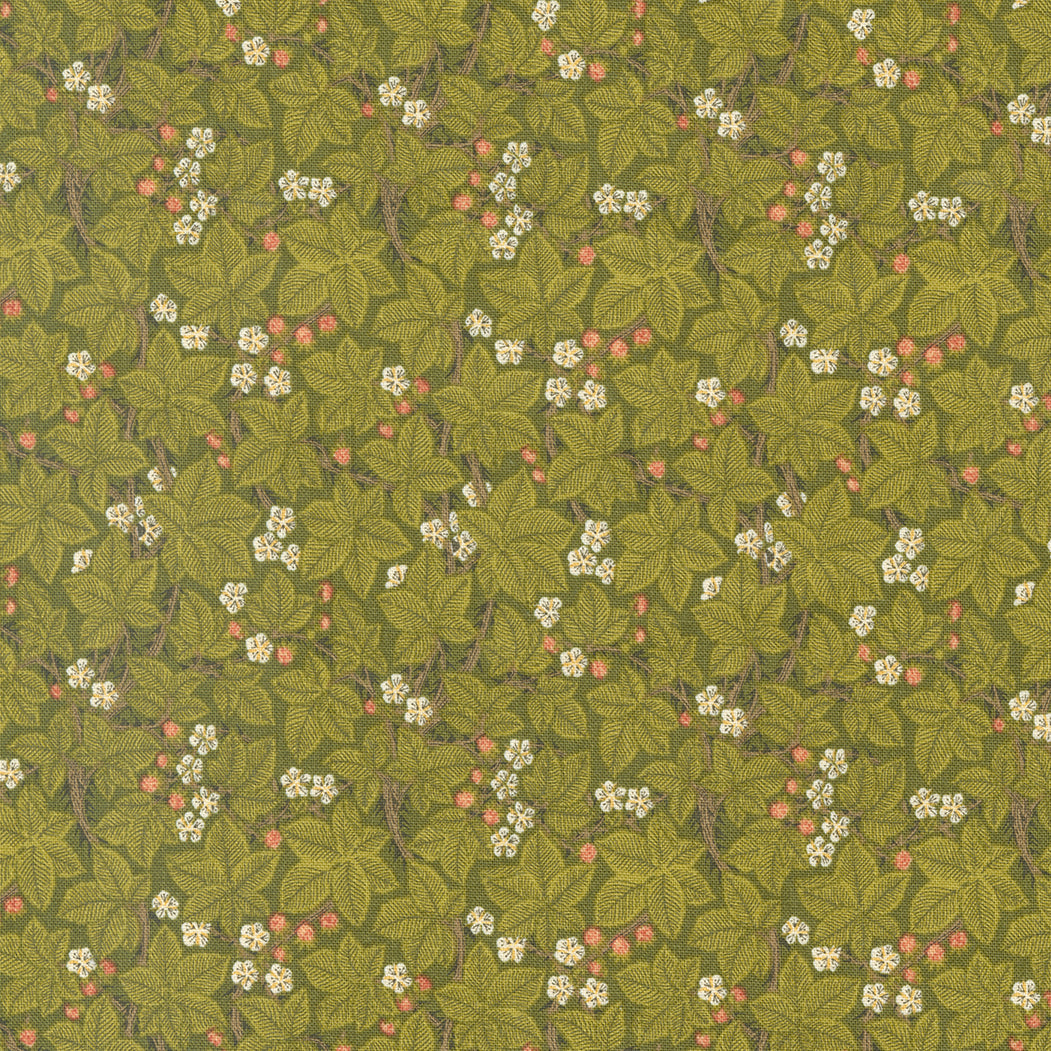 Fennel Green Leaves - Morris Meadow