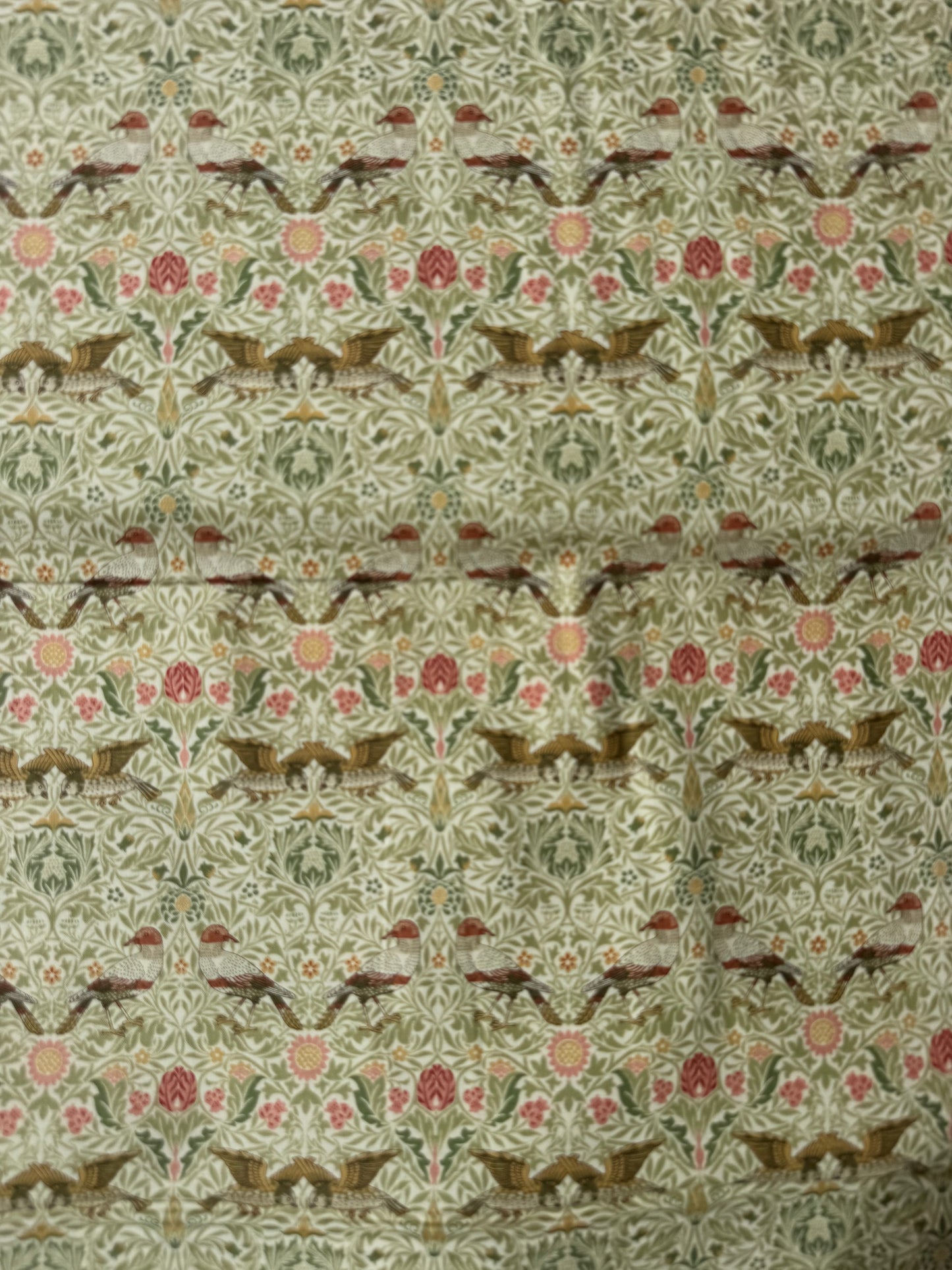 Birds Parchment - Morris Muse