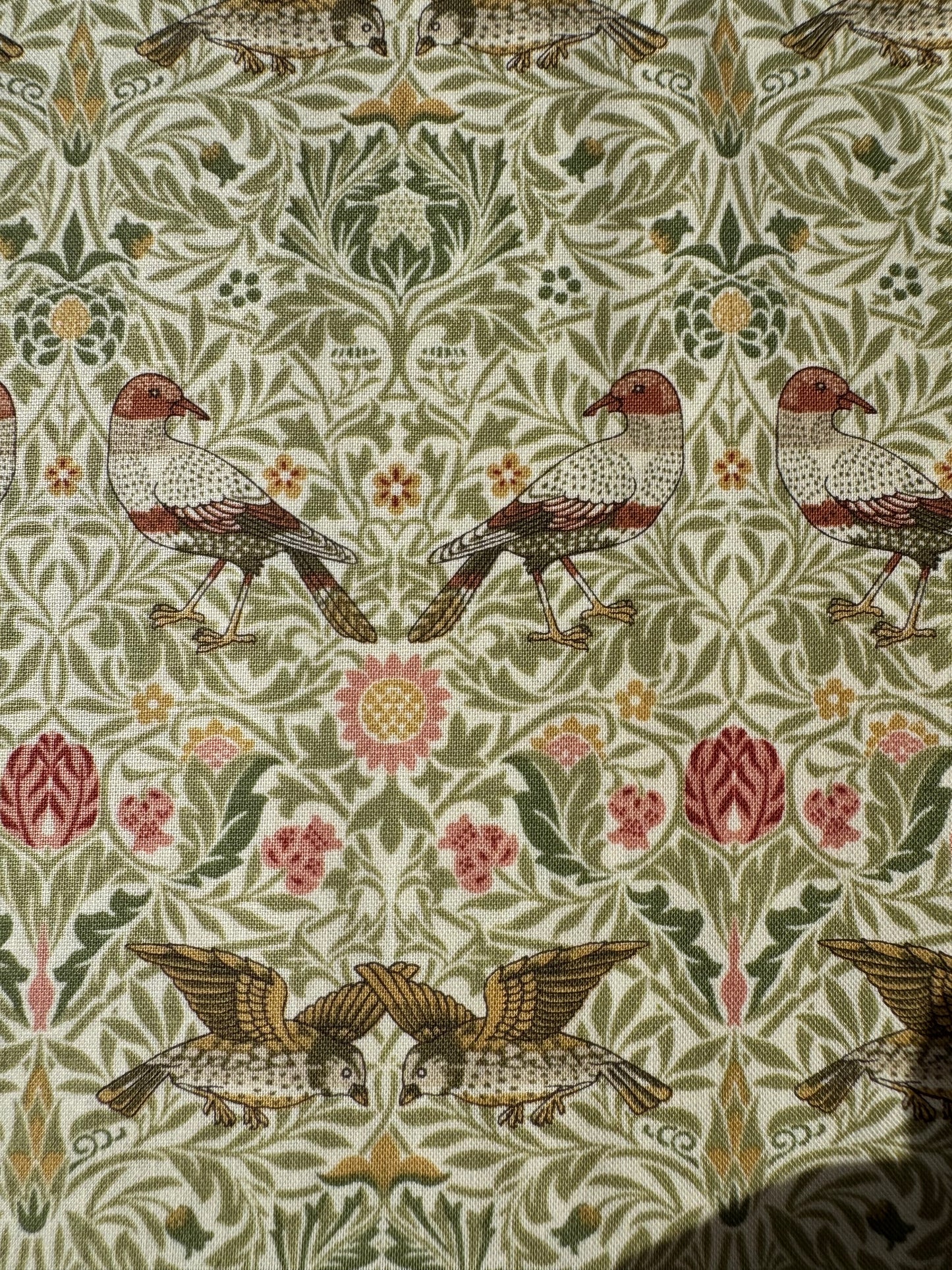 Birds Parchment - Morris Muse
