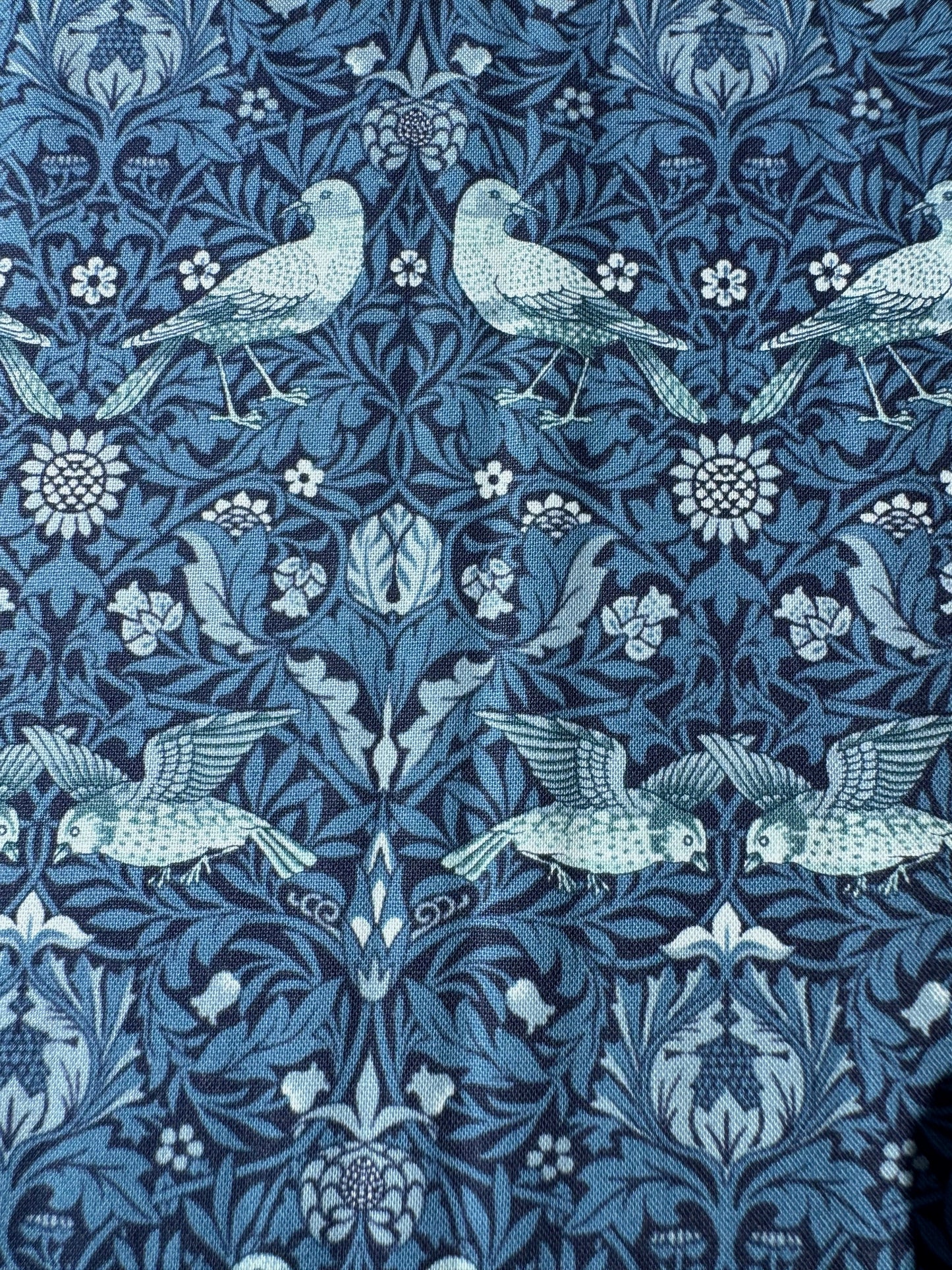 Birds Twilight - Morris Muse