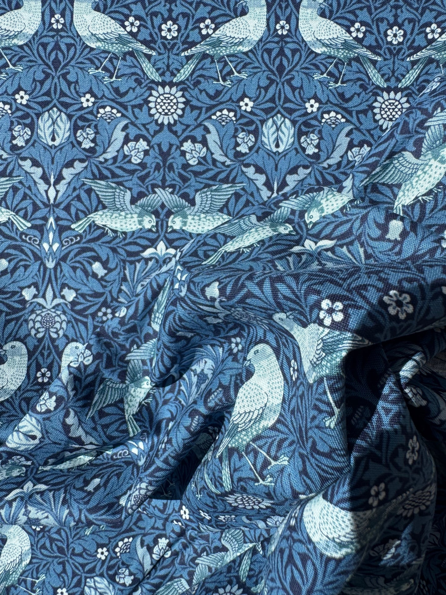 Birds Twilight - Morris Muse
