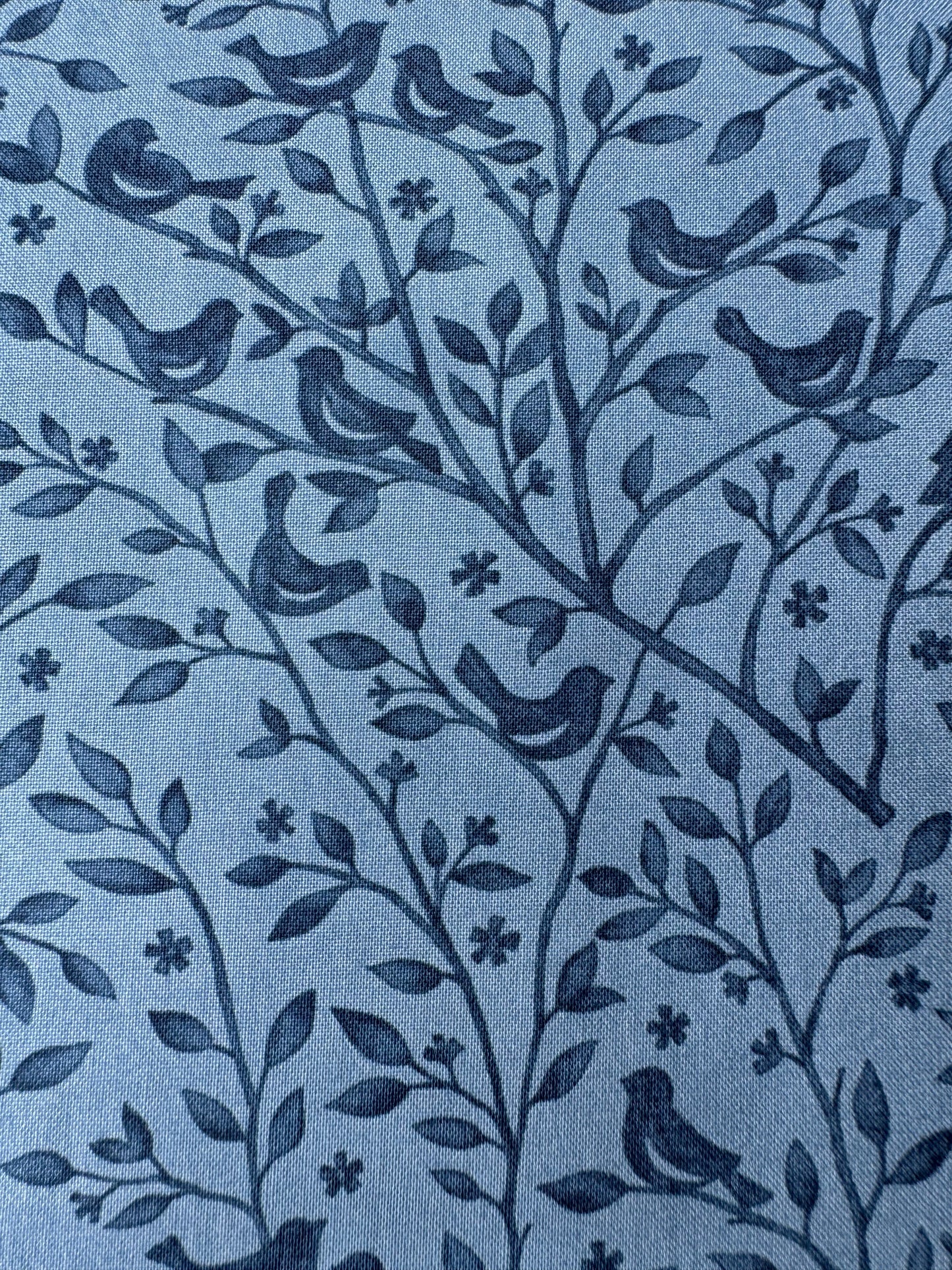 Birds Dusk - Family Tree