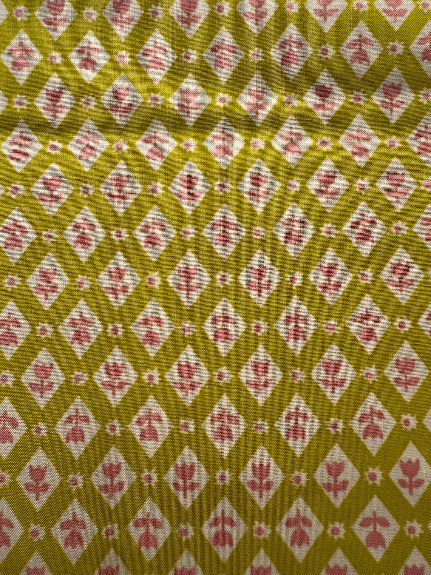 Favorite Flowers by Ruby Star Society - Pistachio