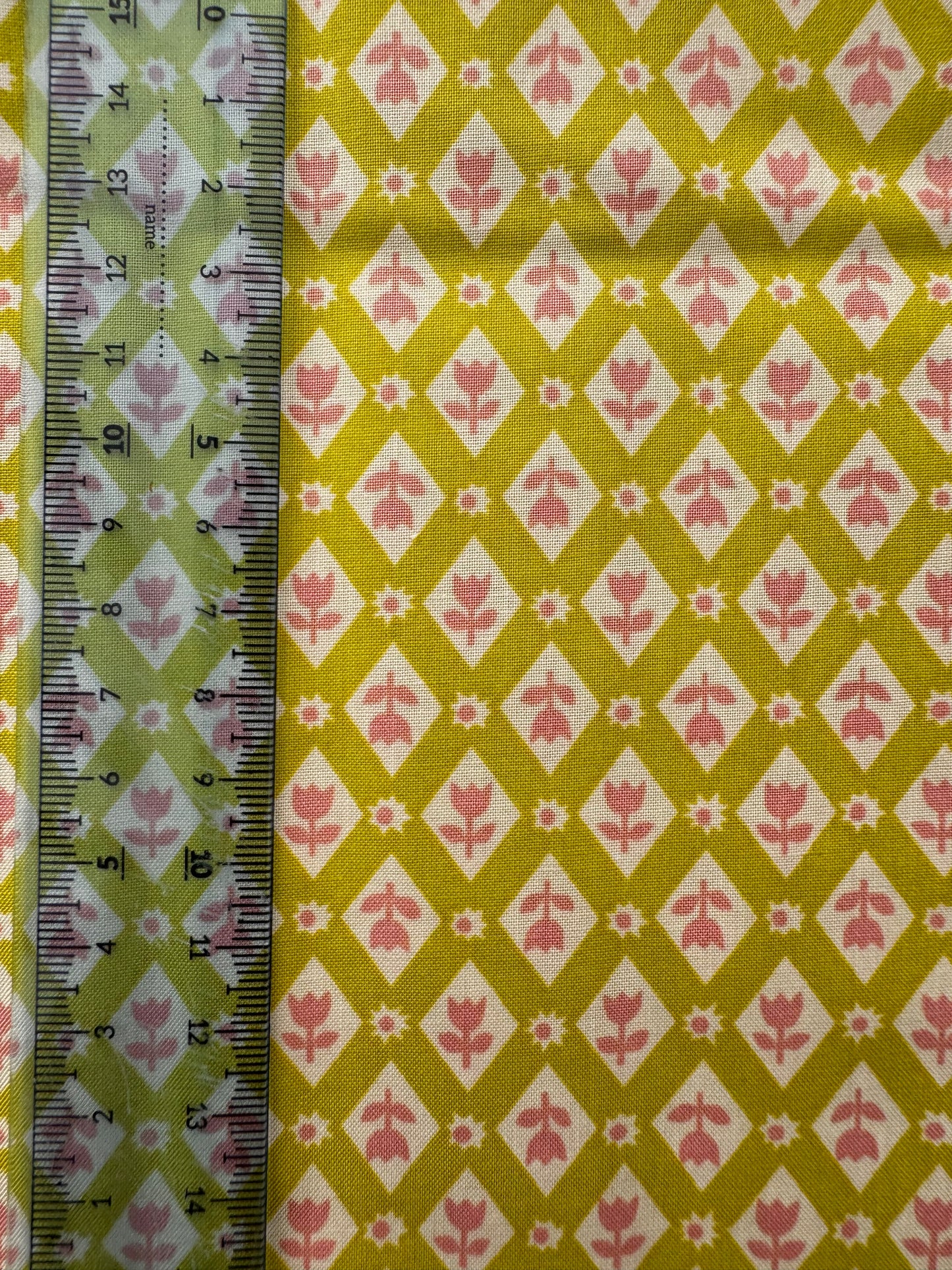 Favorite Flowers by Ruby Star Society - Pistachio